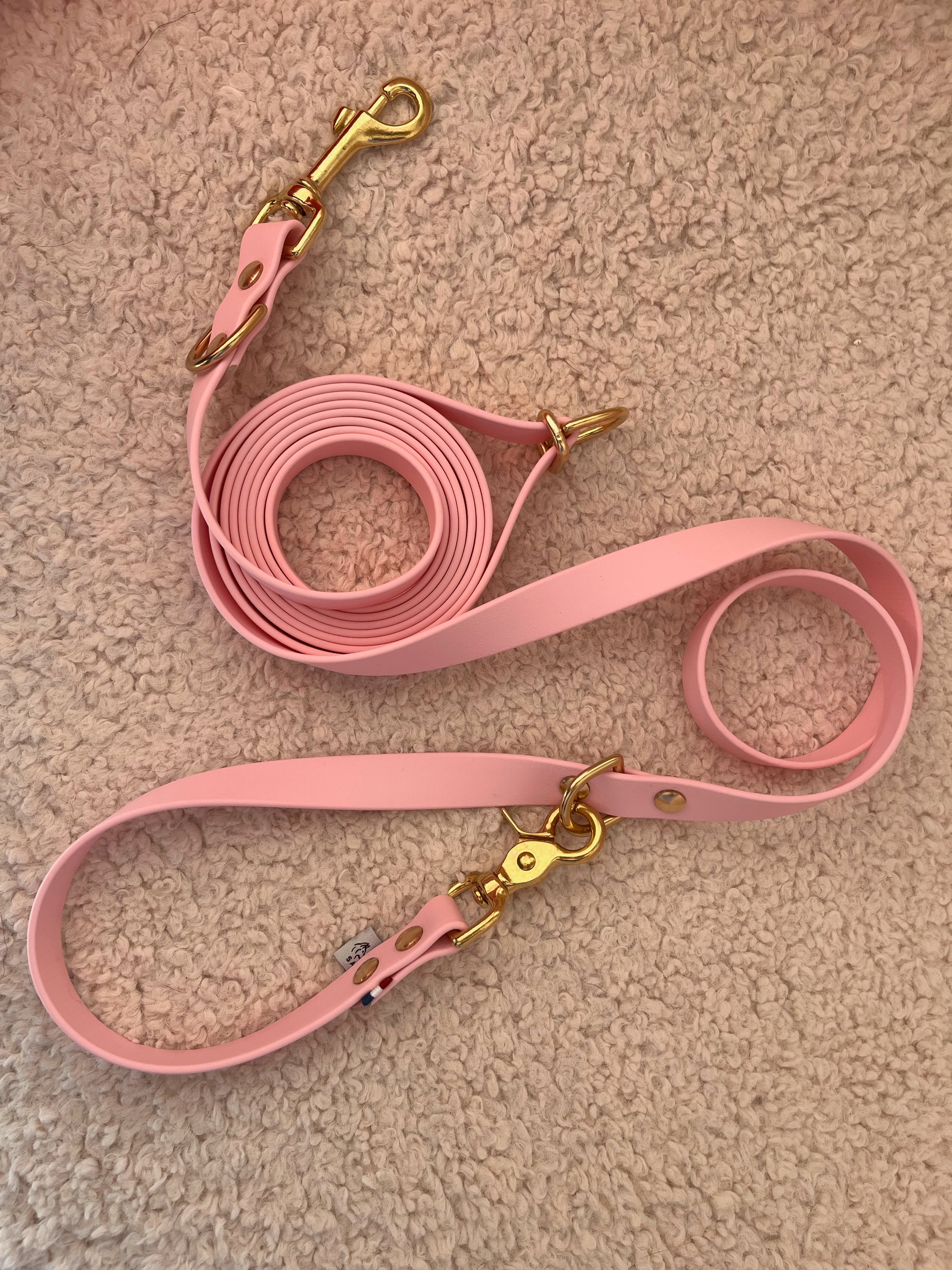 Laisse 3 Positions Parisienne