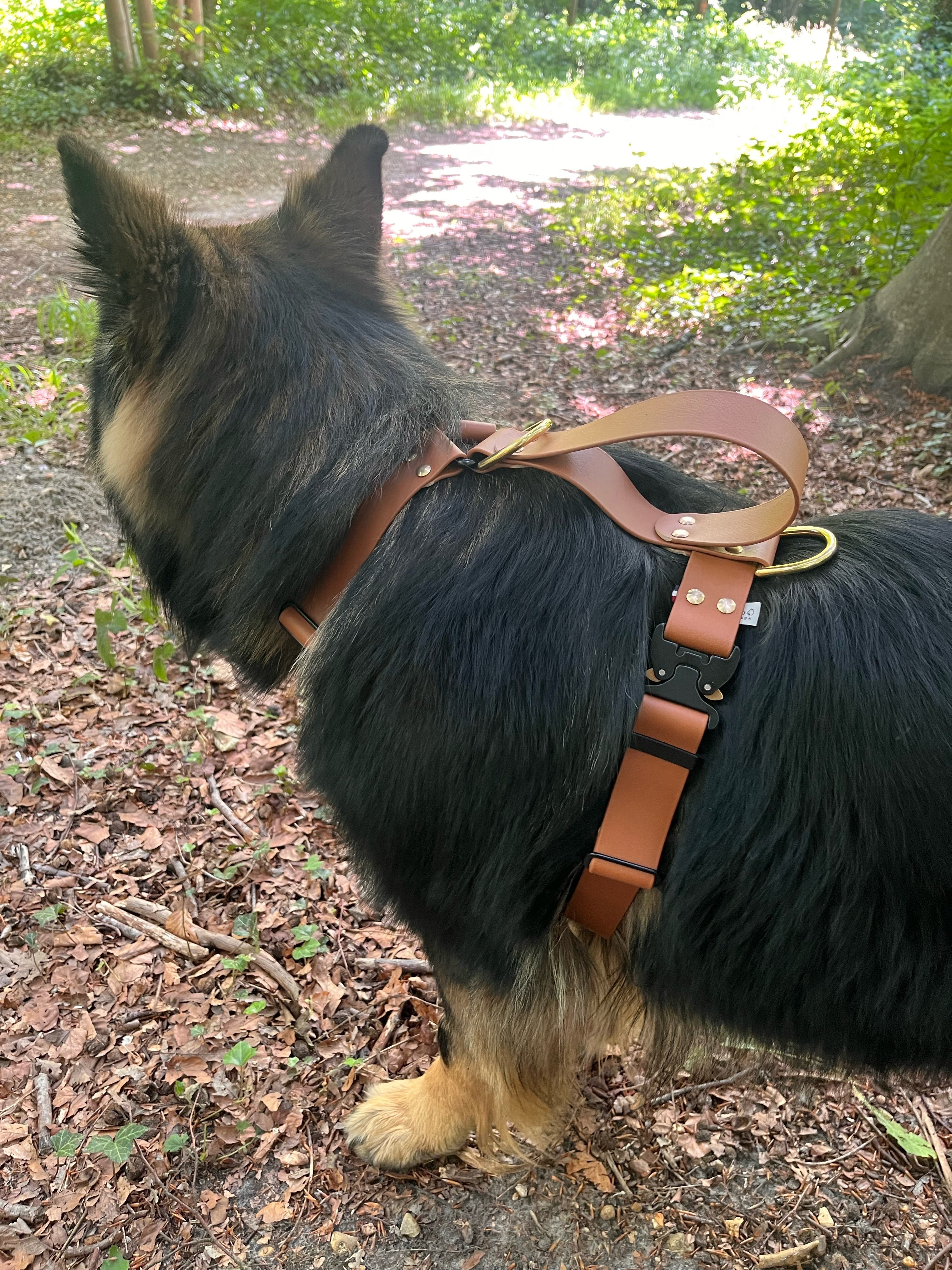 Harnais Parisien Grandes & Très Grandes Races - Laiton