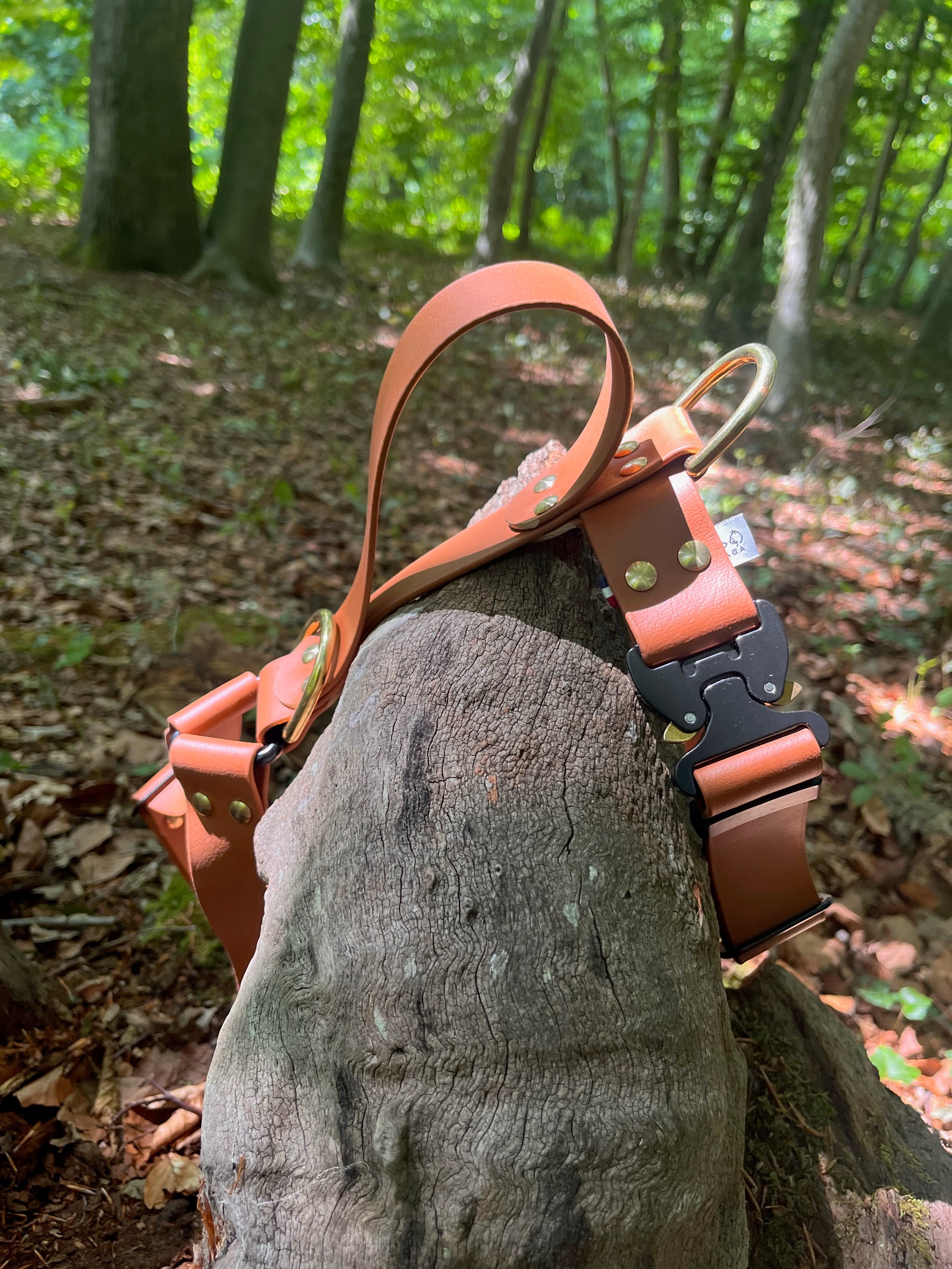 Harnais Parisien Grandes & Très Grandes Races - Laiton