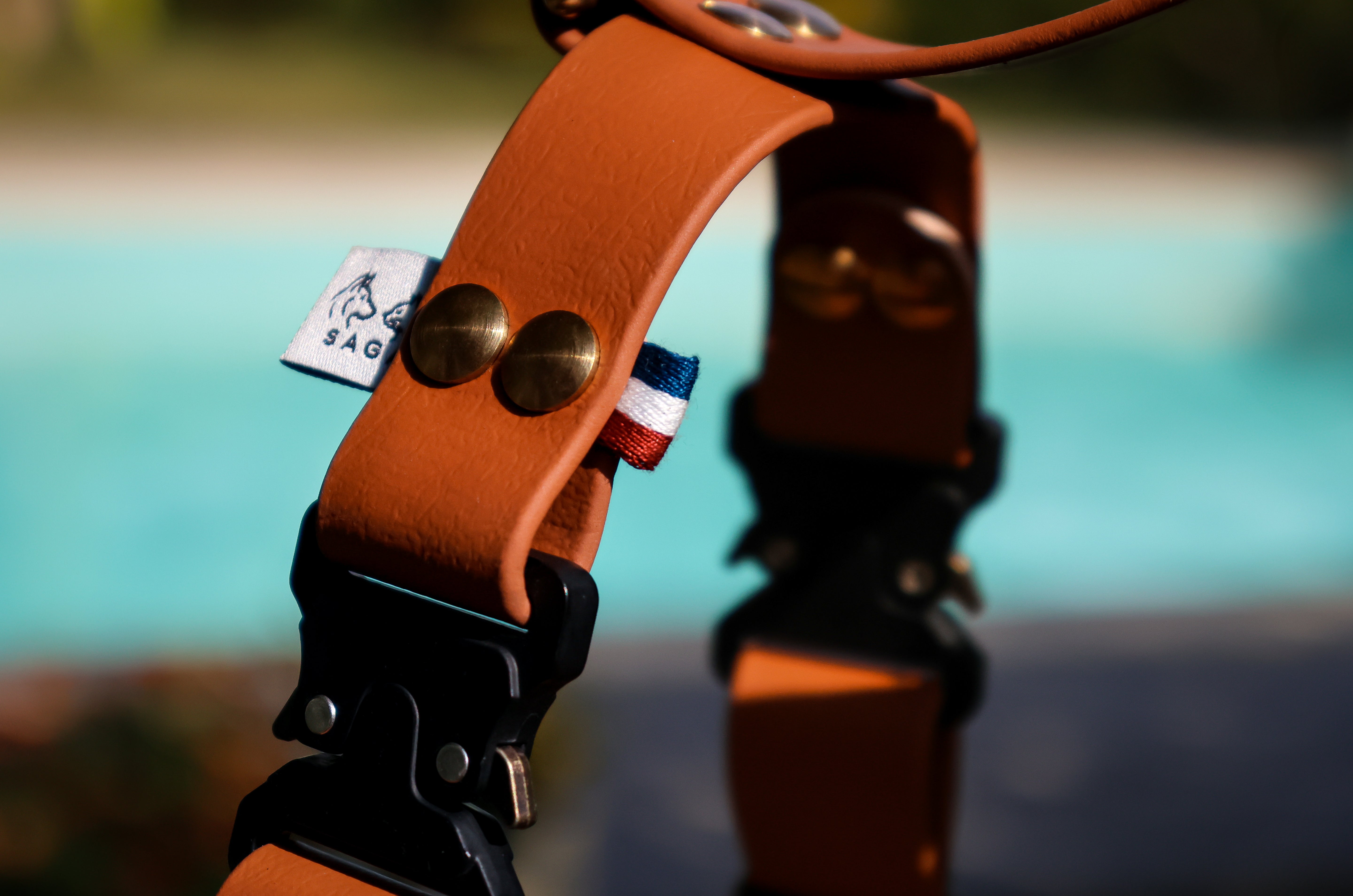 Harnais Parisien Moyennes & Grandes Races