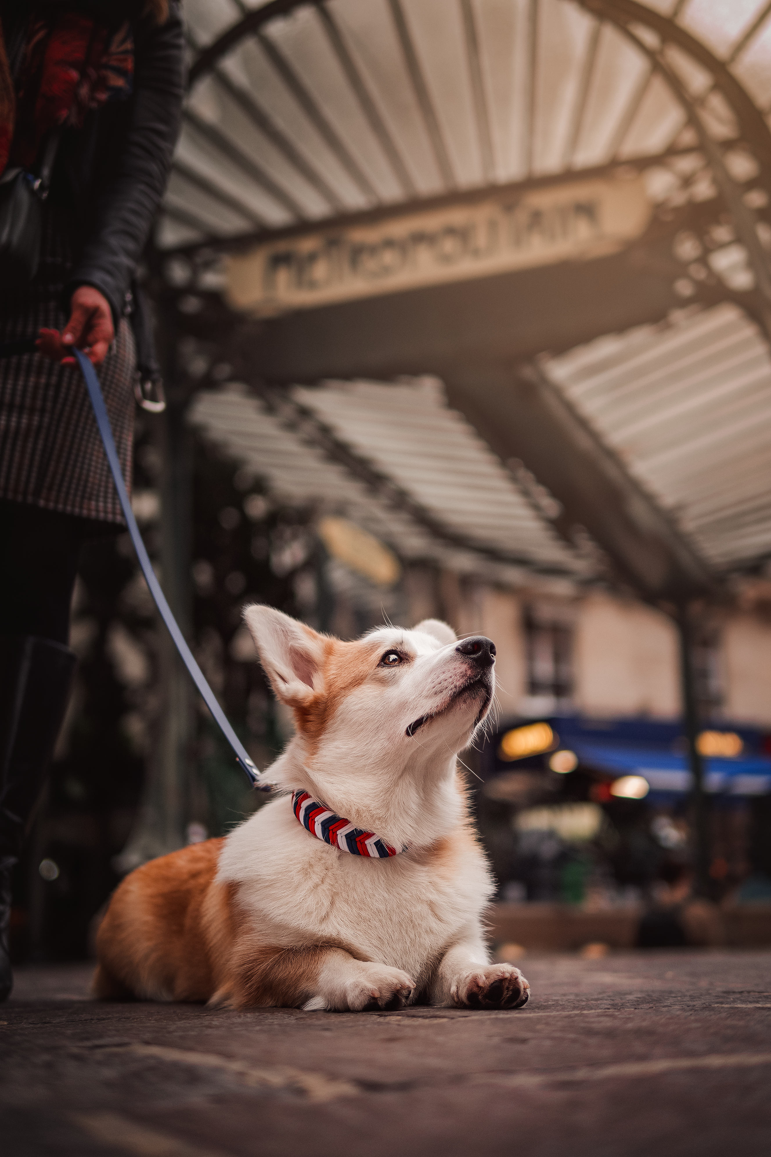 Collier Patriote - France