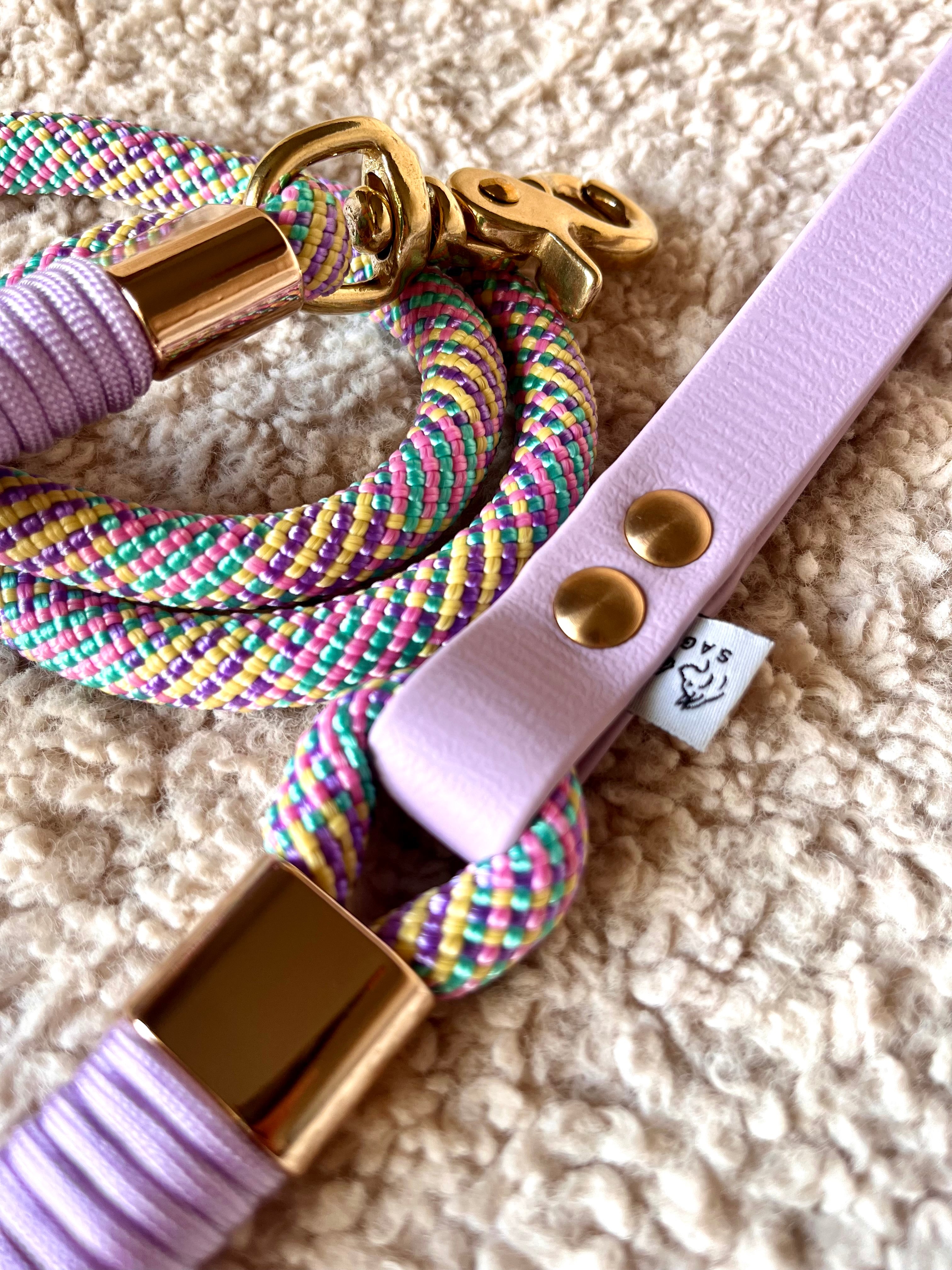 Laisse Simple Bridgerton