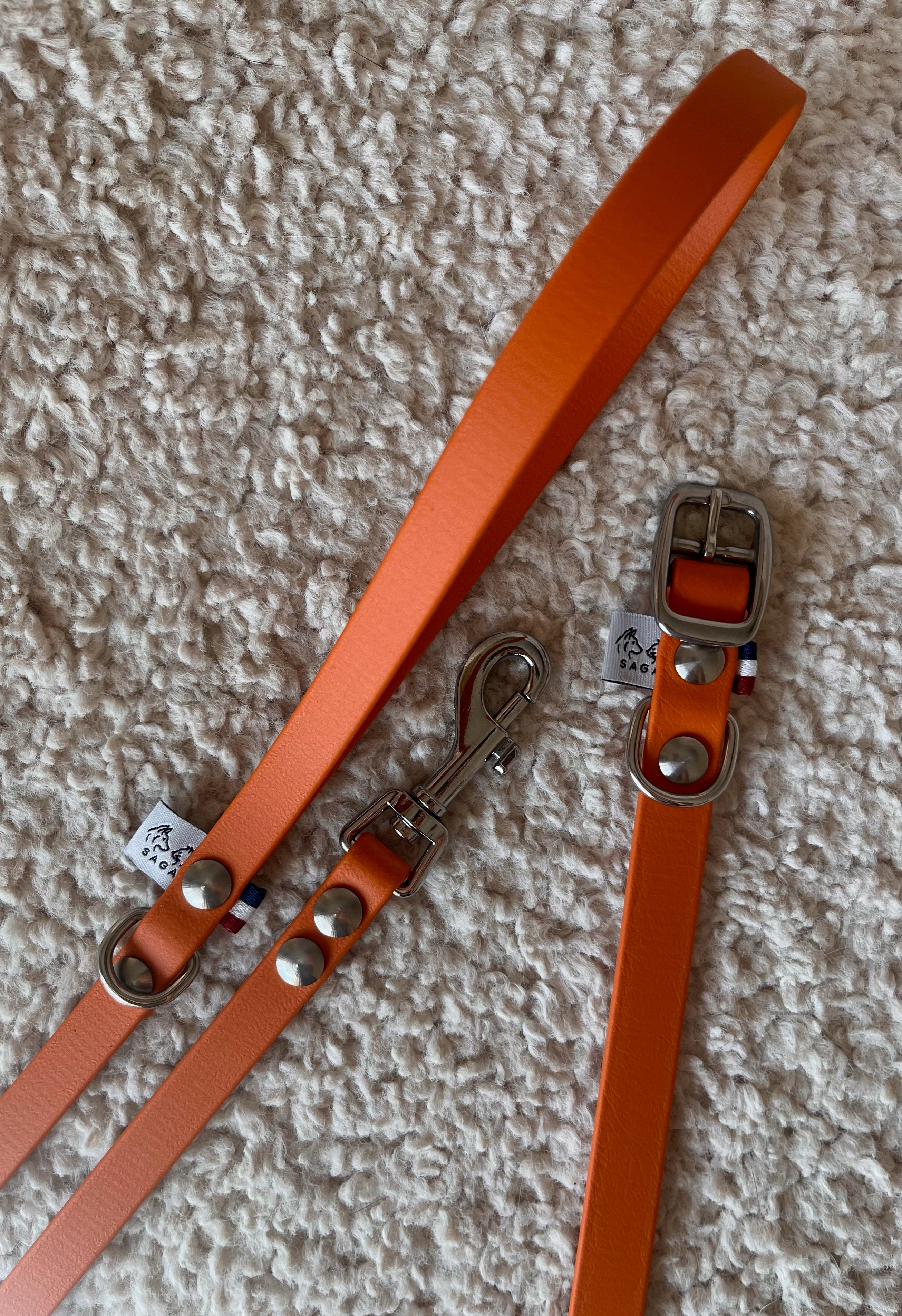 Kit Chiot - Collier & Laisse