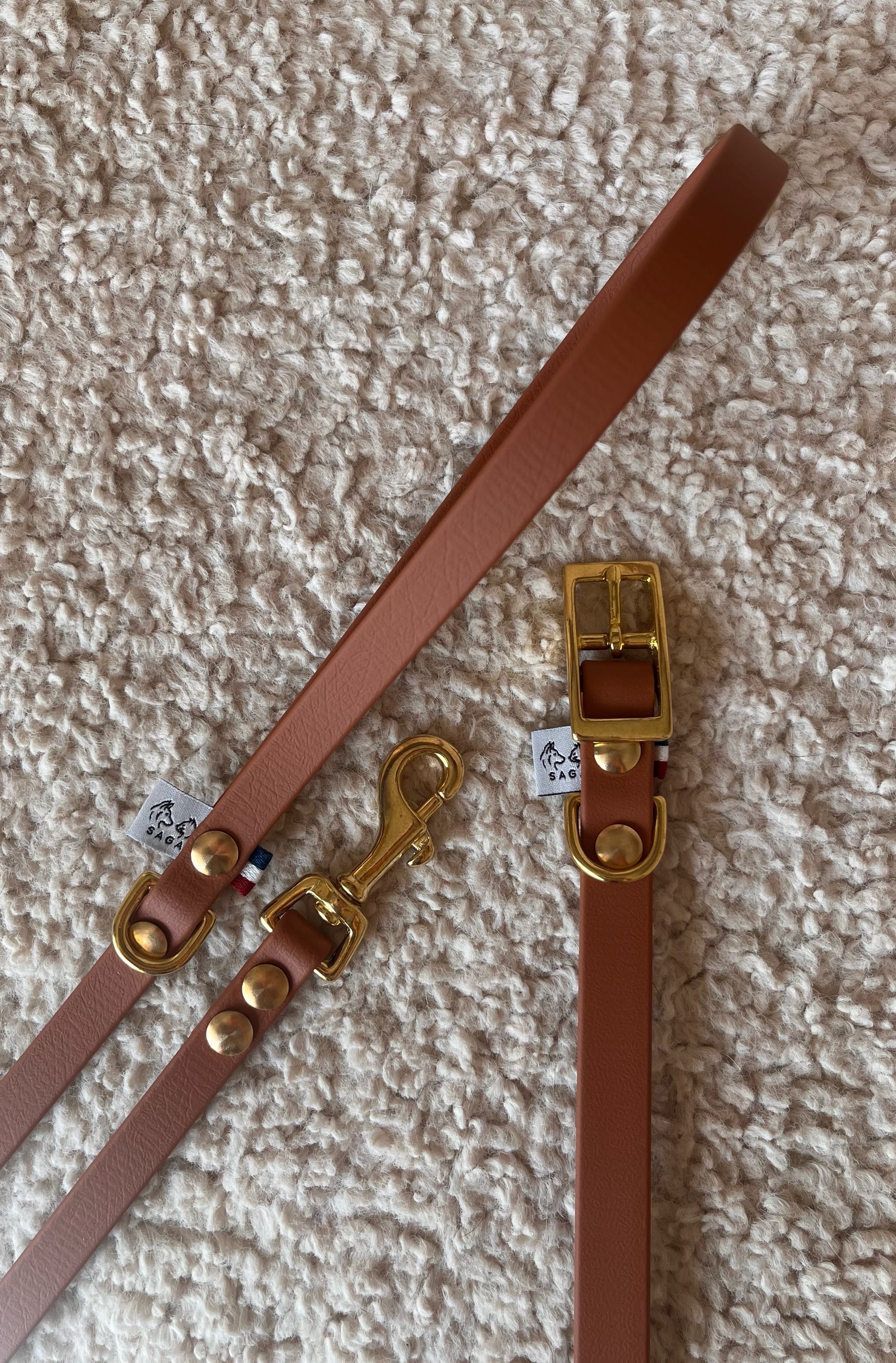 Kit Chiot - Collier & Laisse