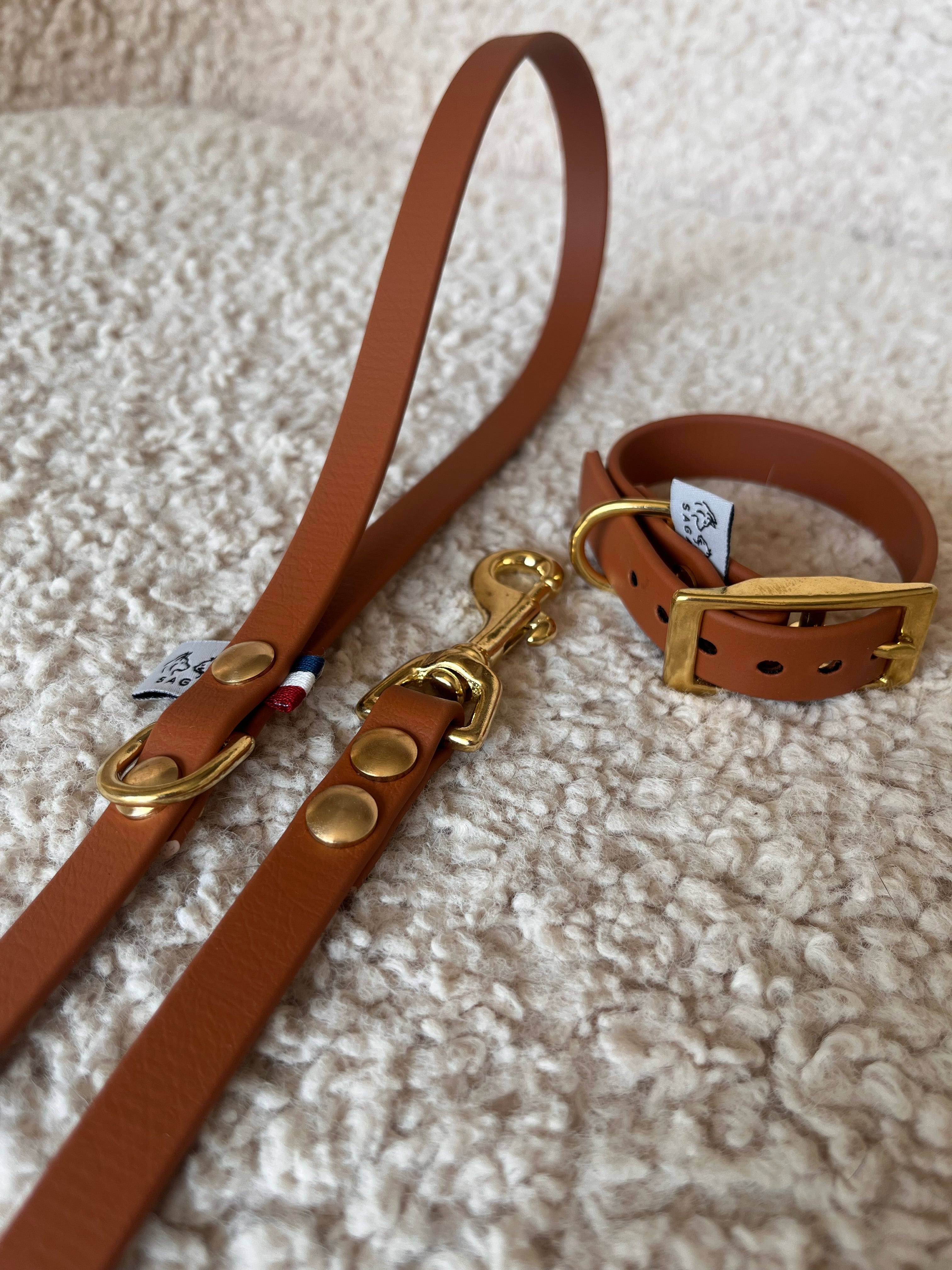 Kit Chiot - Collier & Laisse