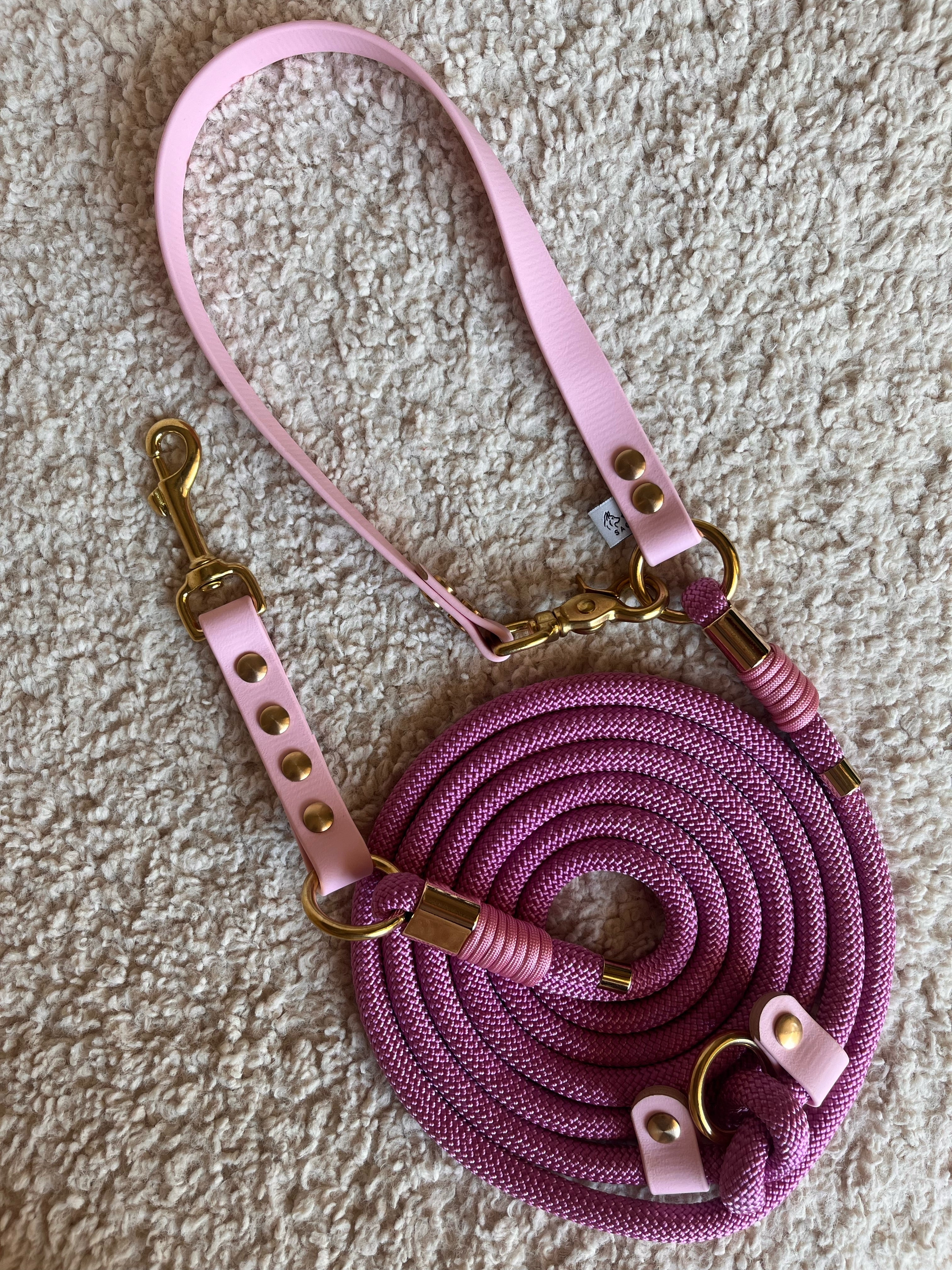 Laisse 3 positions Nomade