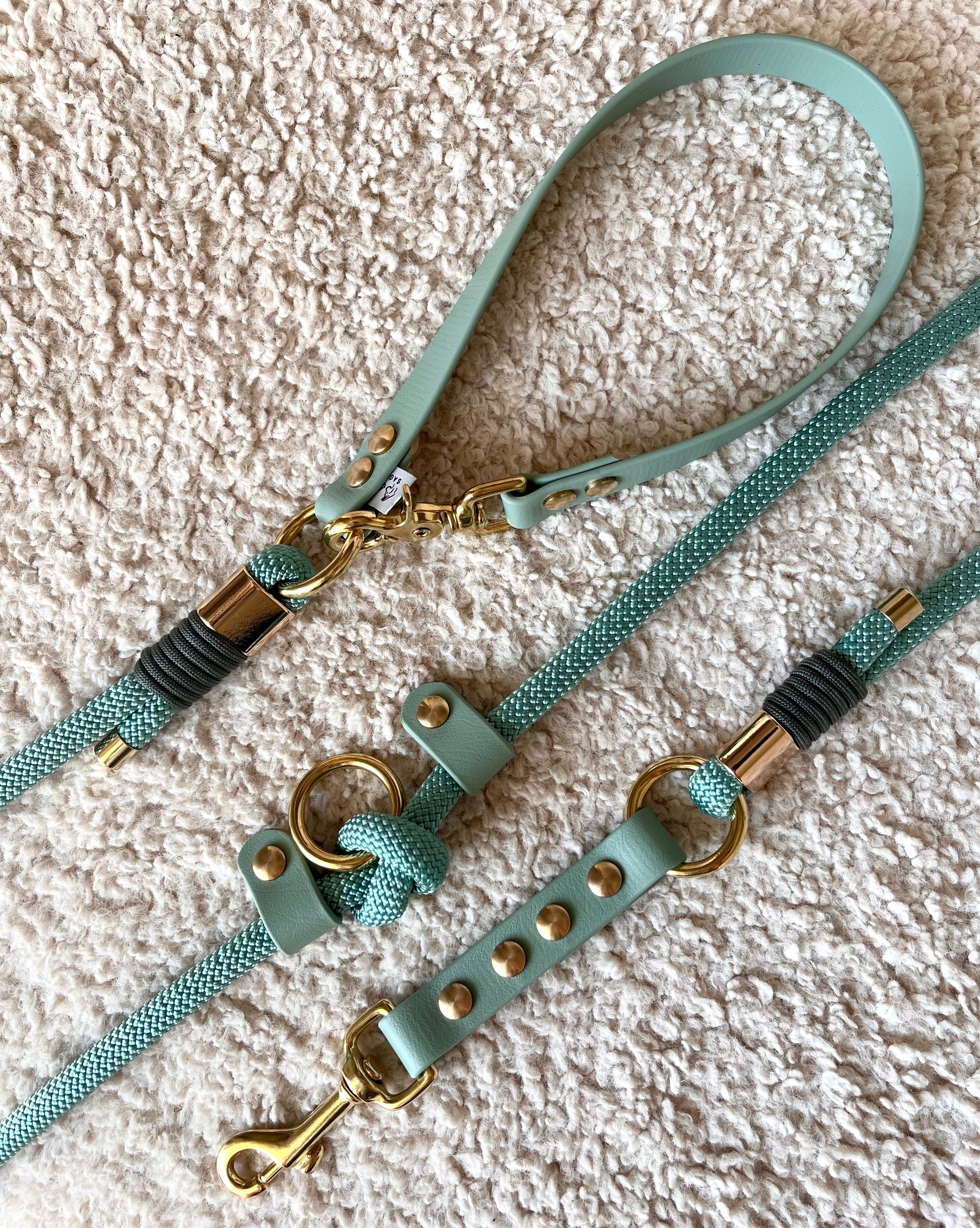 Laisse 3 positions Nomade