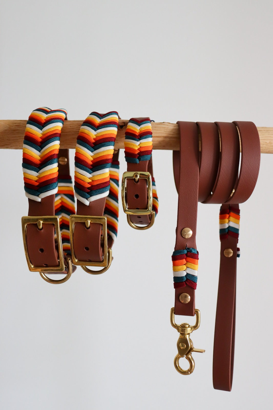 Laisse simple Santiago