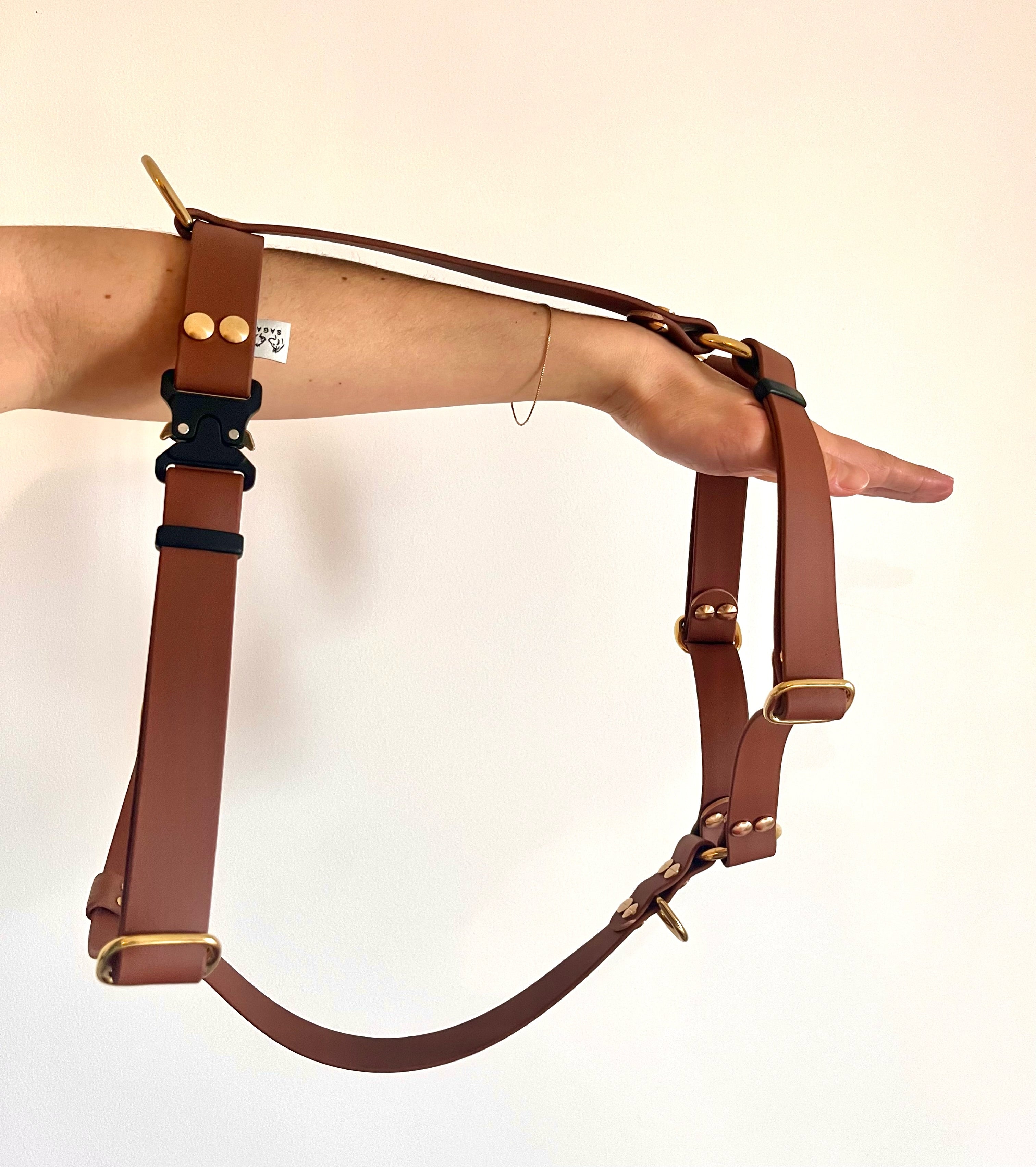 Harnais Parisien Moyennes & Grandes Races