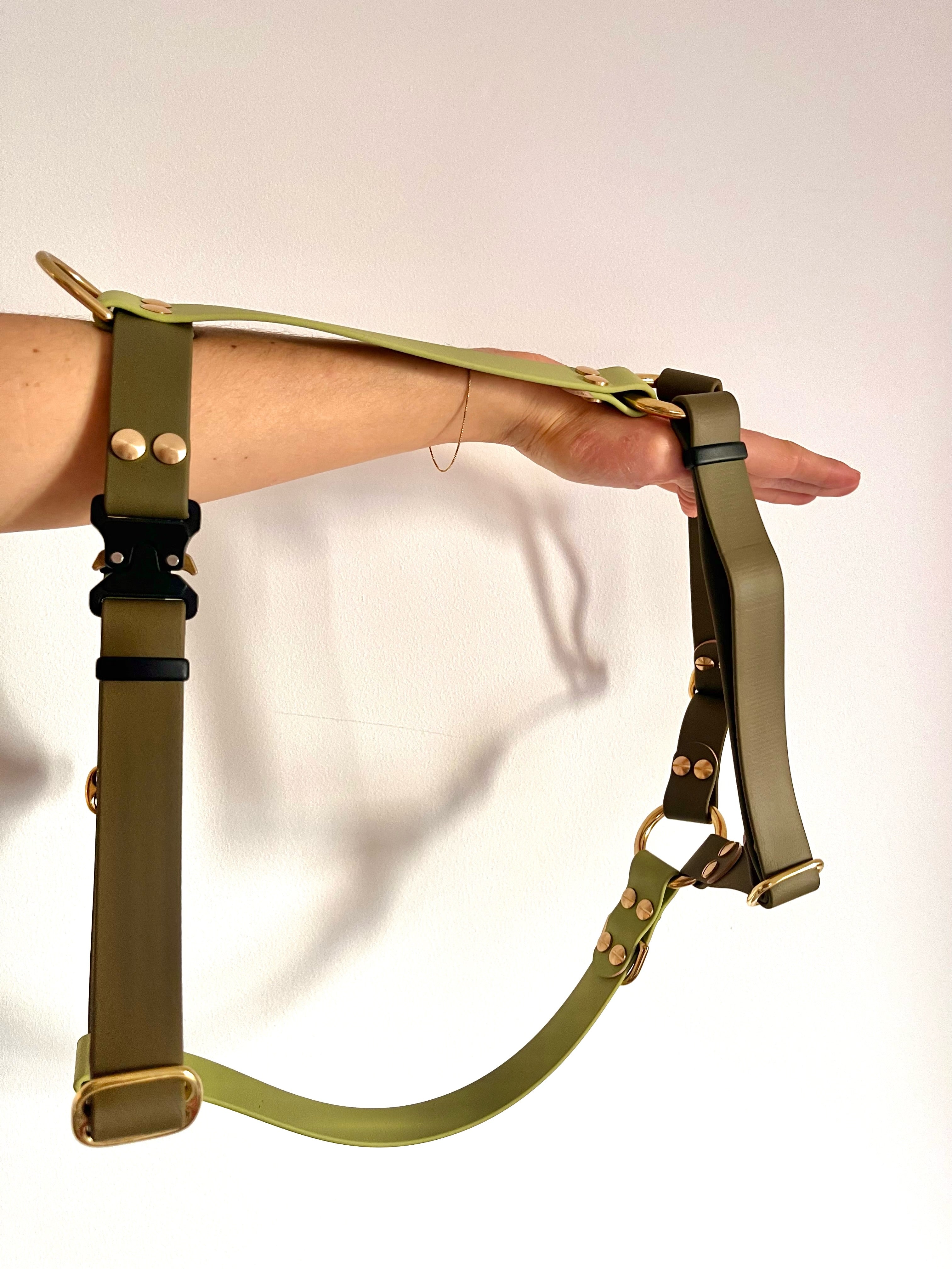 Harnais Parisien Moyennes & Grandes Races