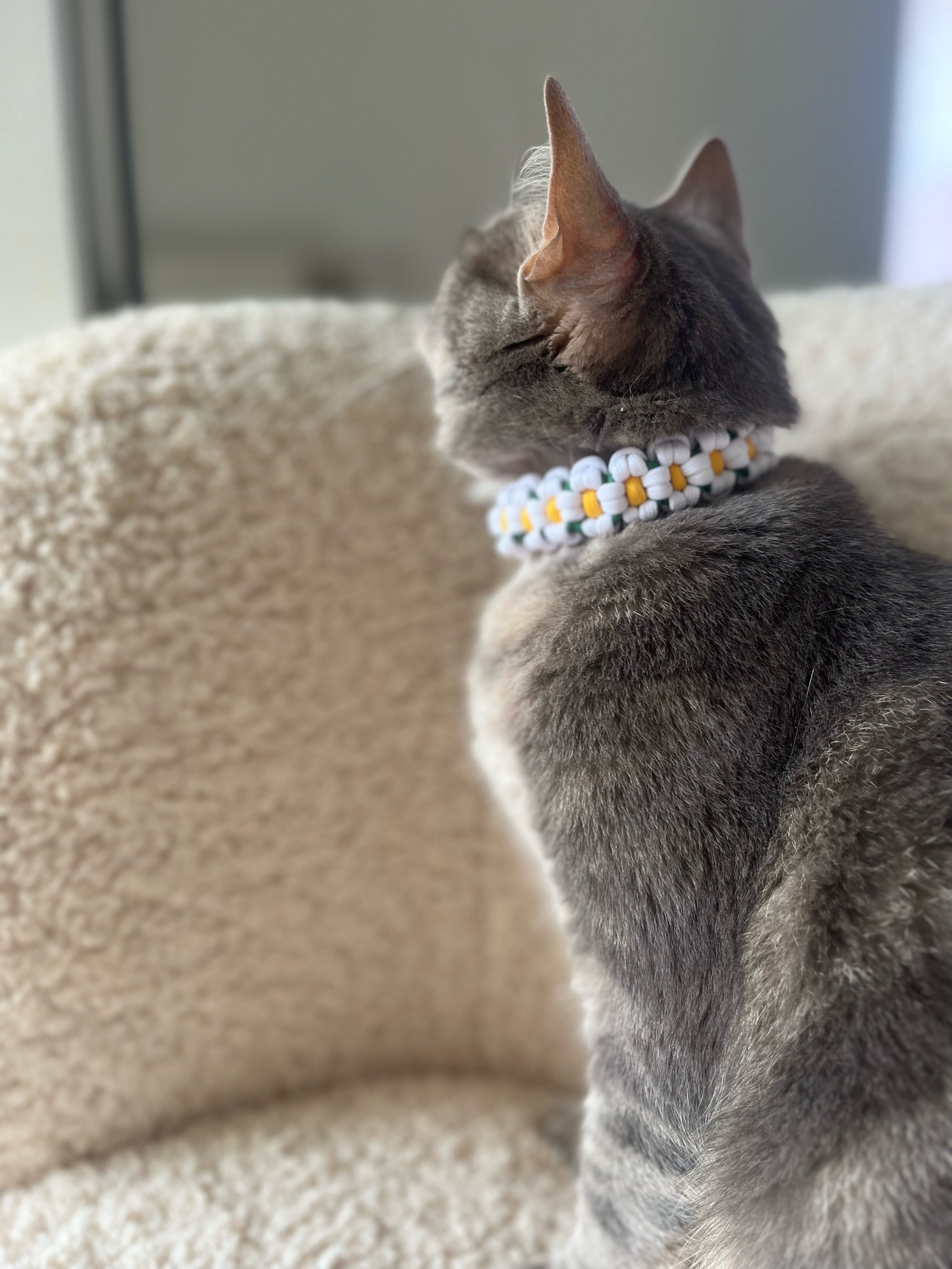 Collier Chat - Fleurs