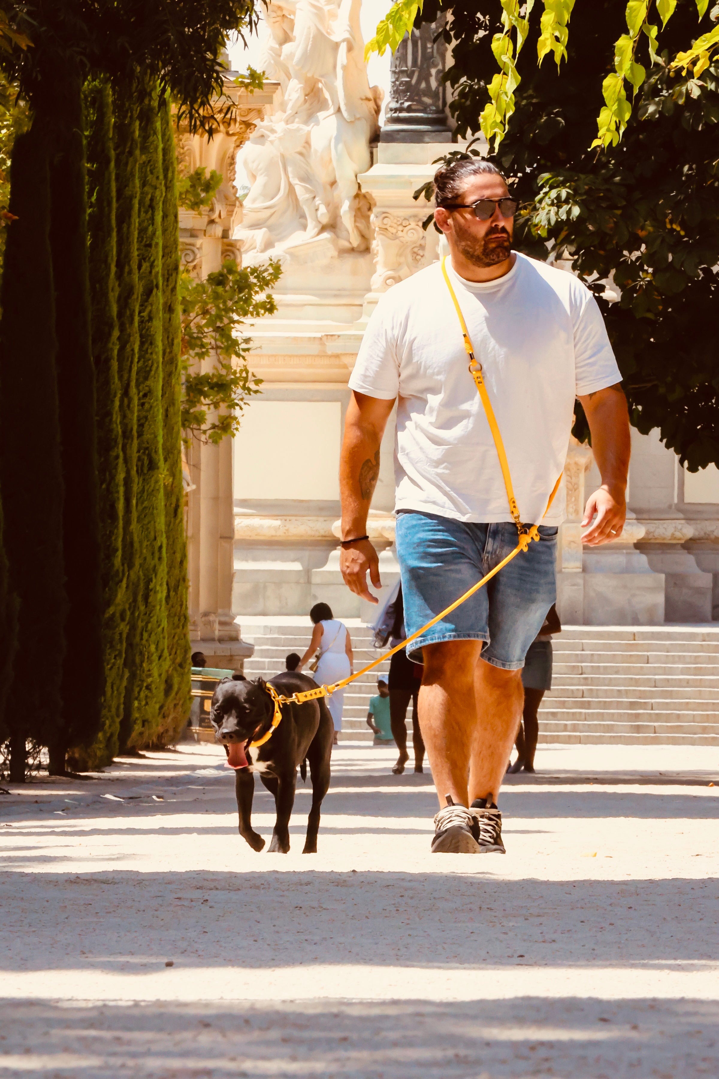 Laisse 3 positions Nomade