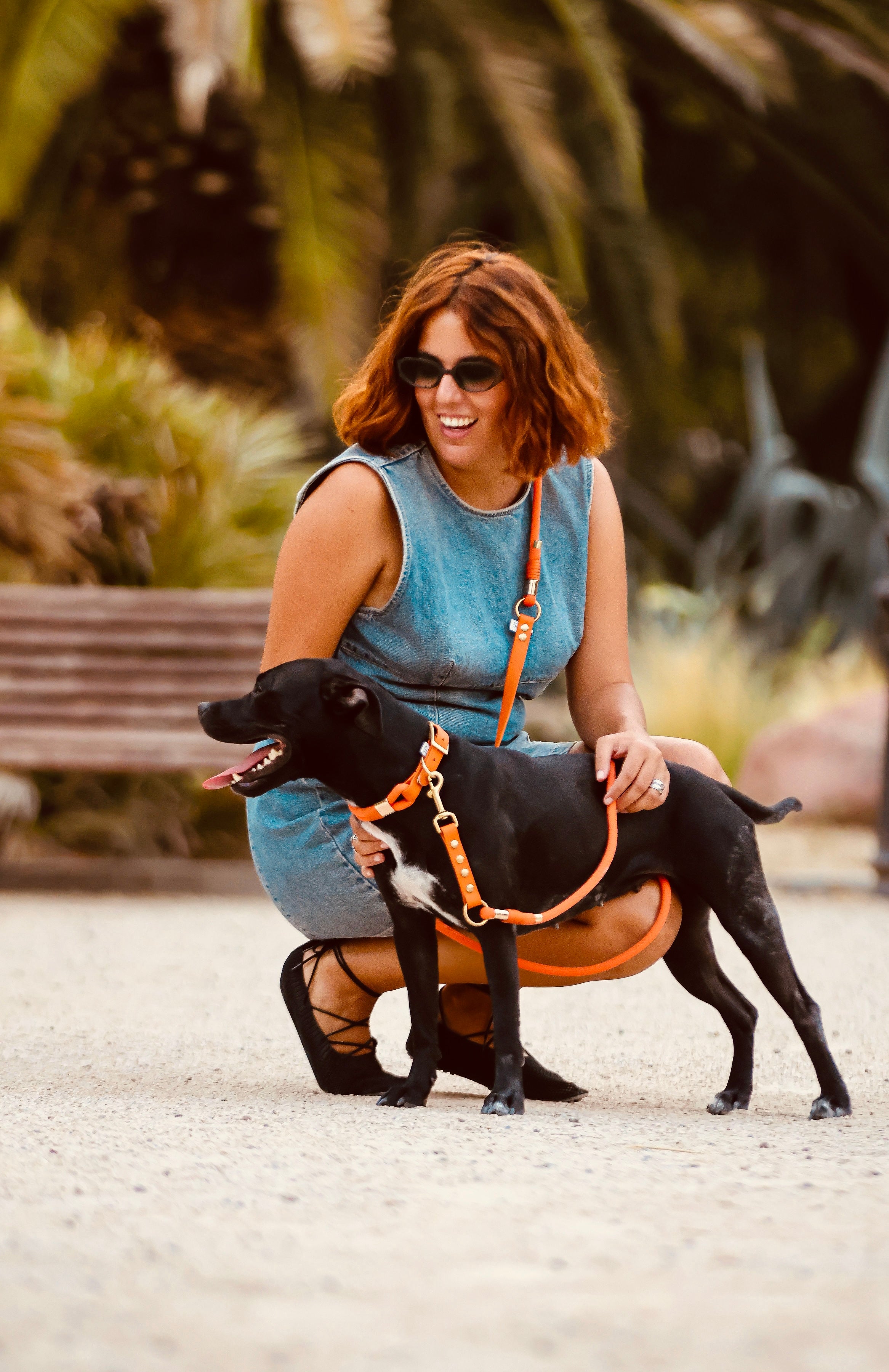 Laisse 3 positions Nomade