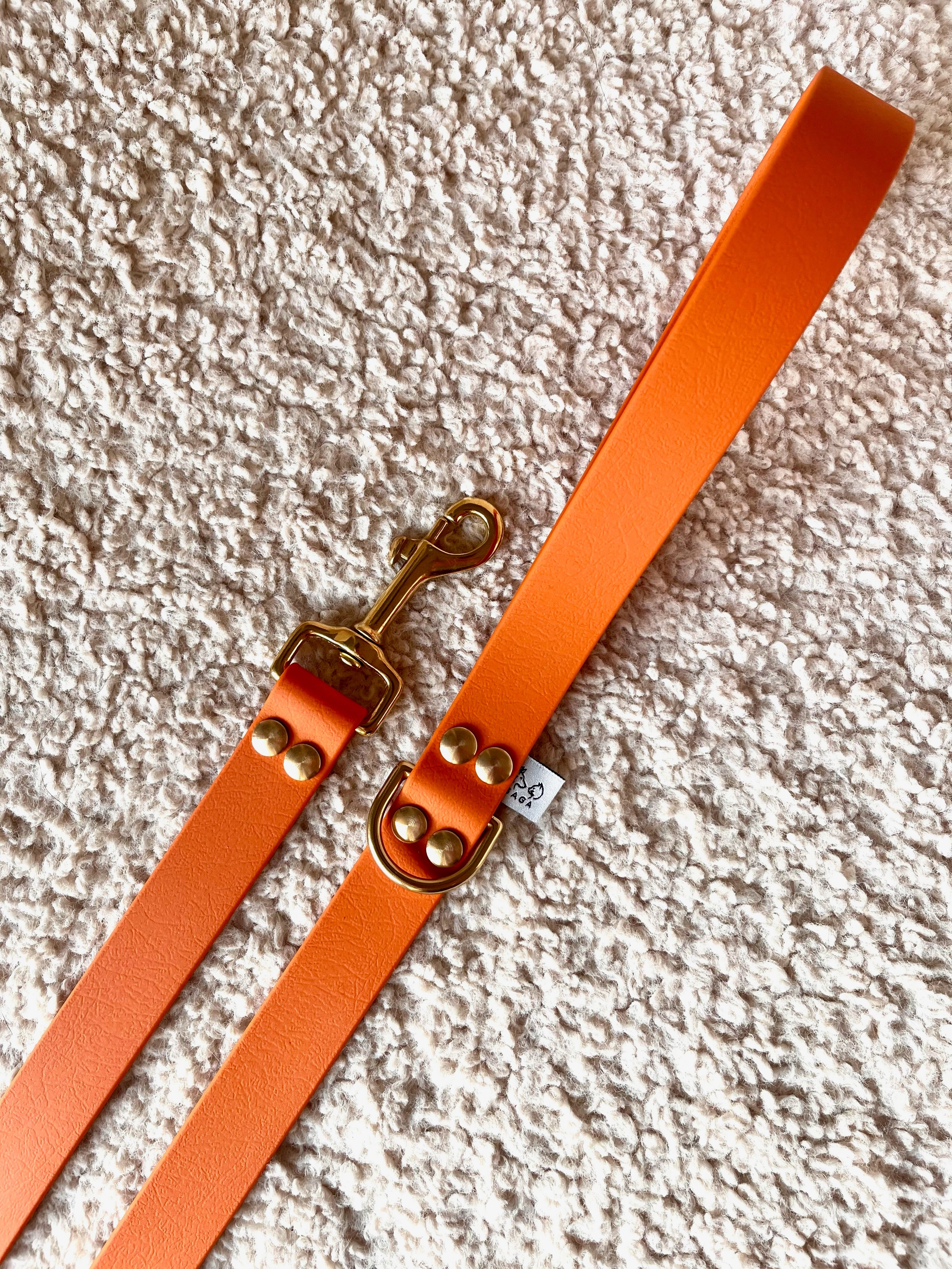 Laisse Simple Parisienne