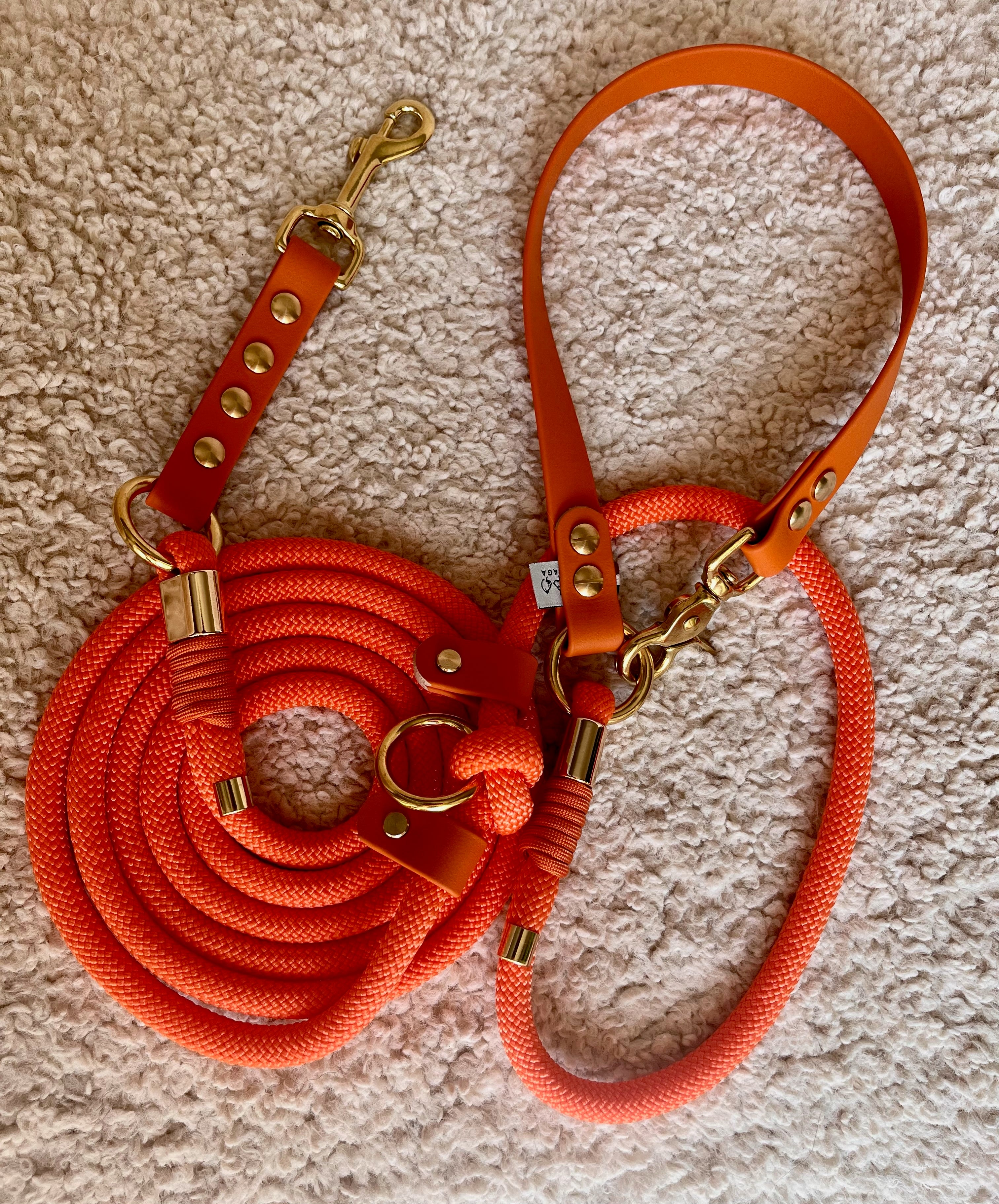 Laisse 3 positions Nomade