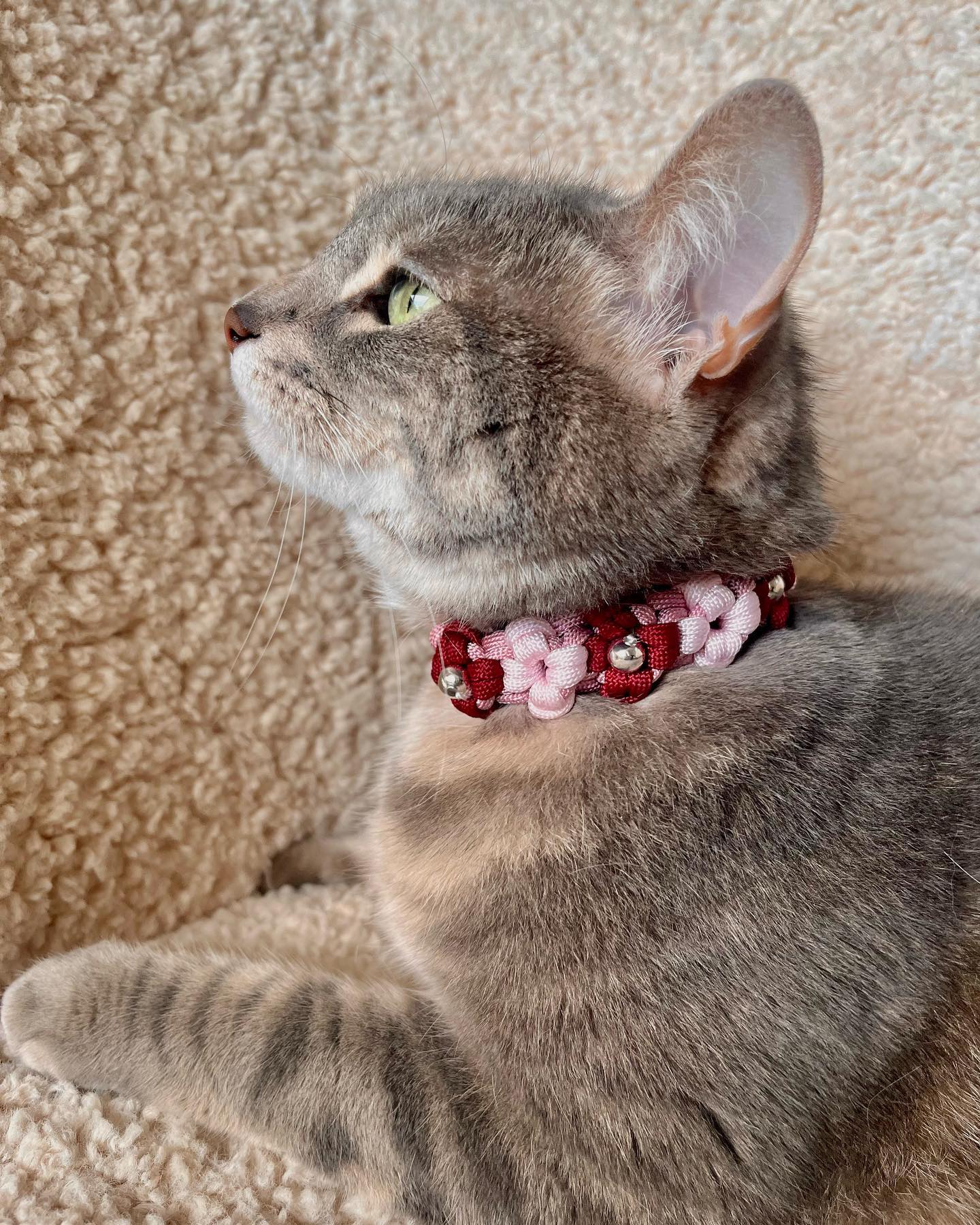 Collier Chat - Fleurs