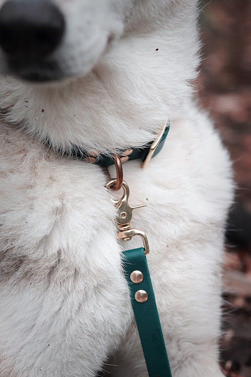 Collier Parisien - Bouclerie Laiton