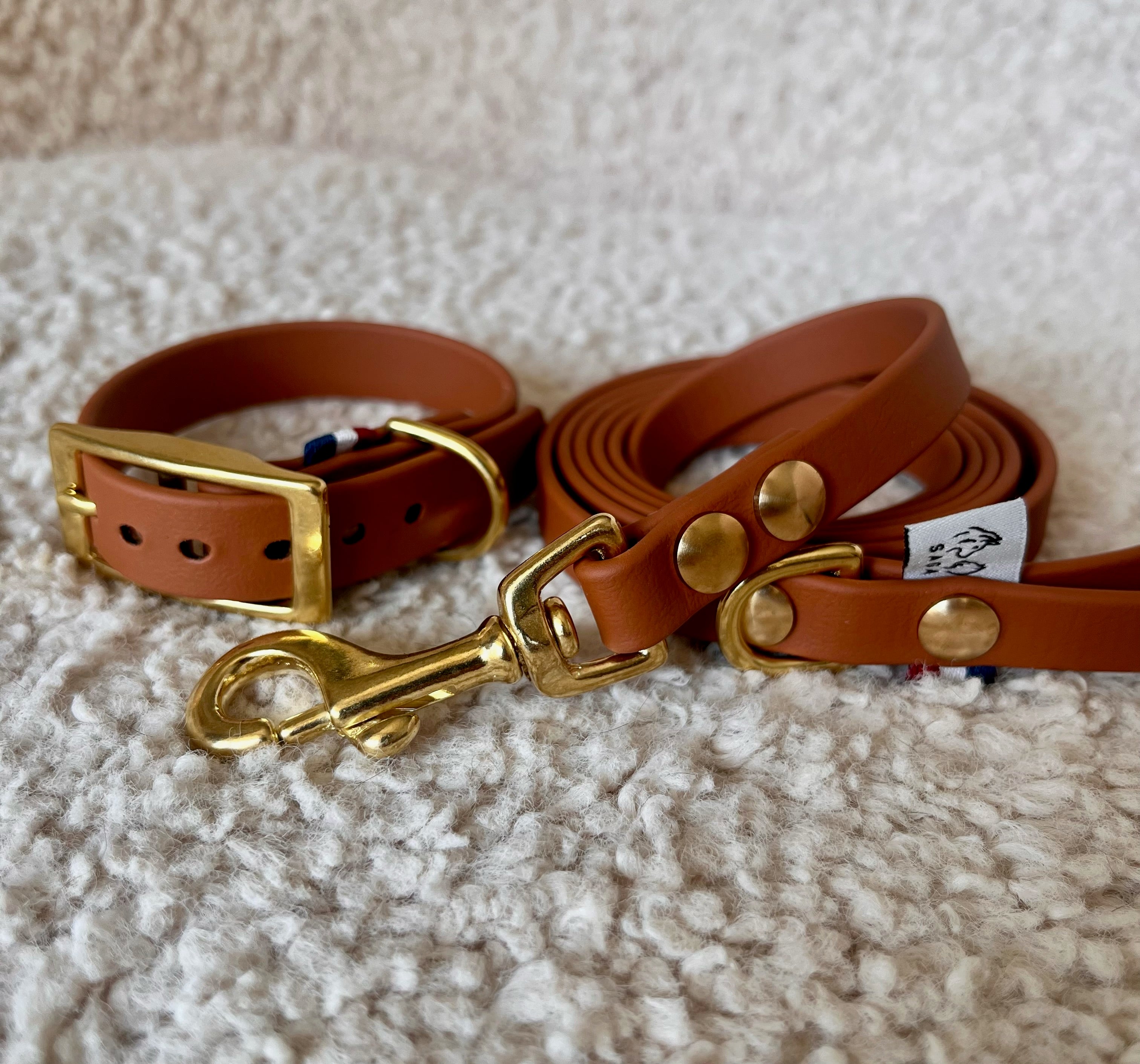 Kit Chiot - Collier & Laisse