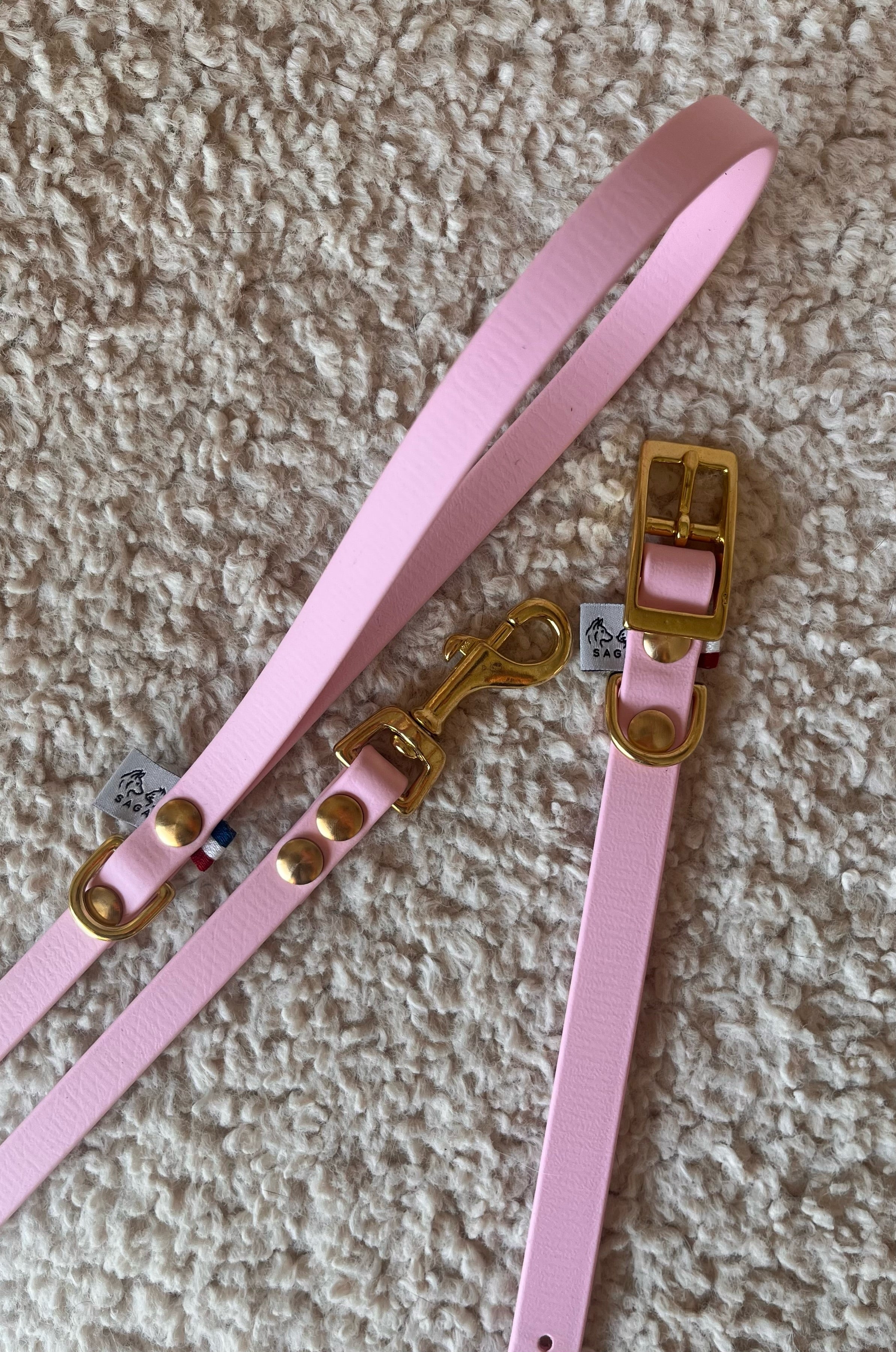 Kit Chiot - Collier & Laisse