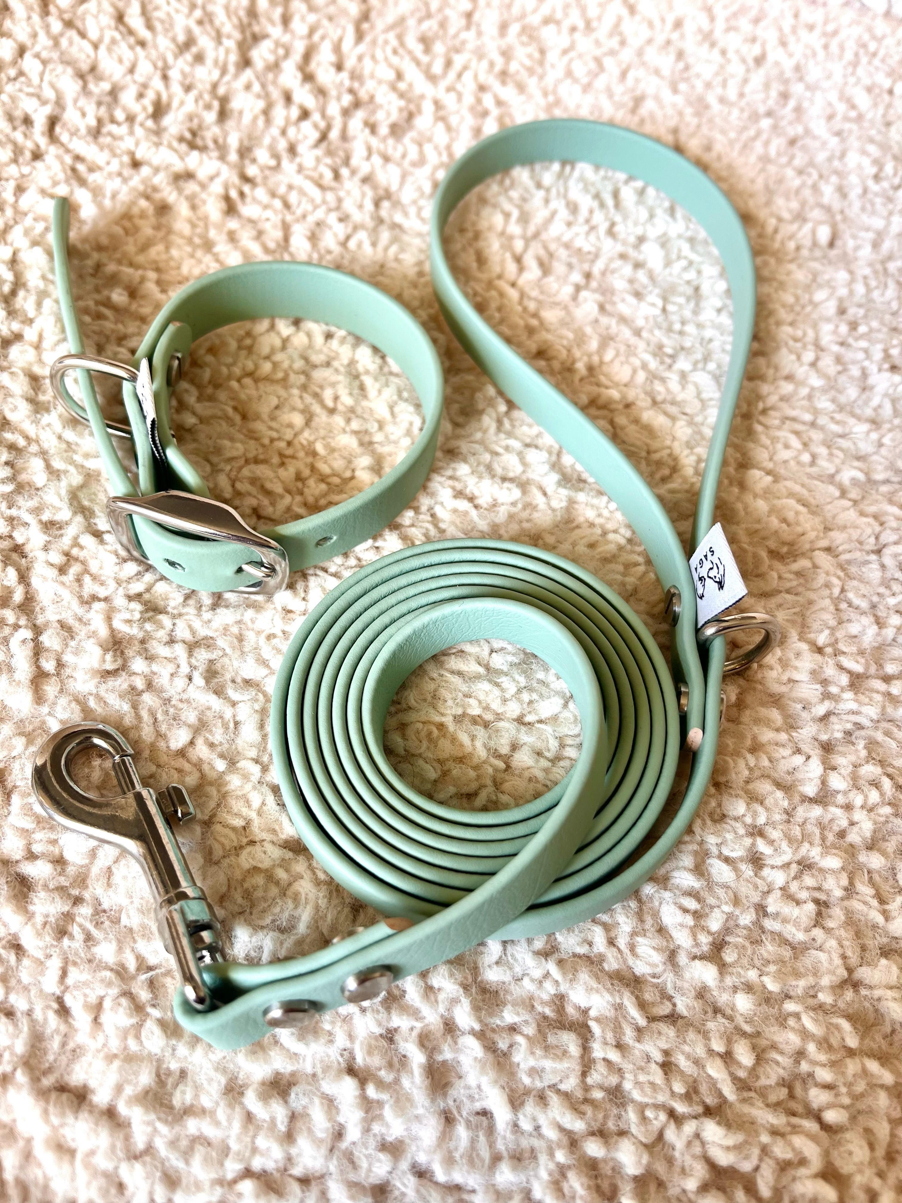 Kit Chiot Inox - Collier & Laisse