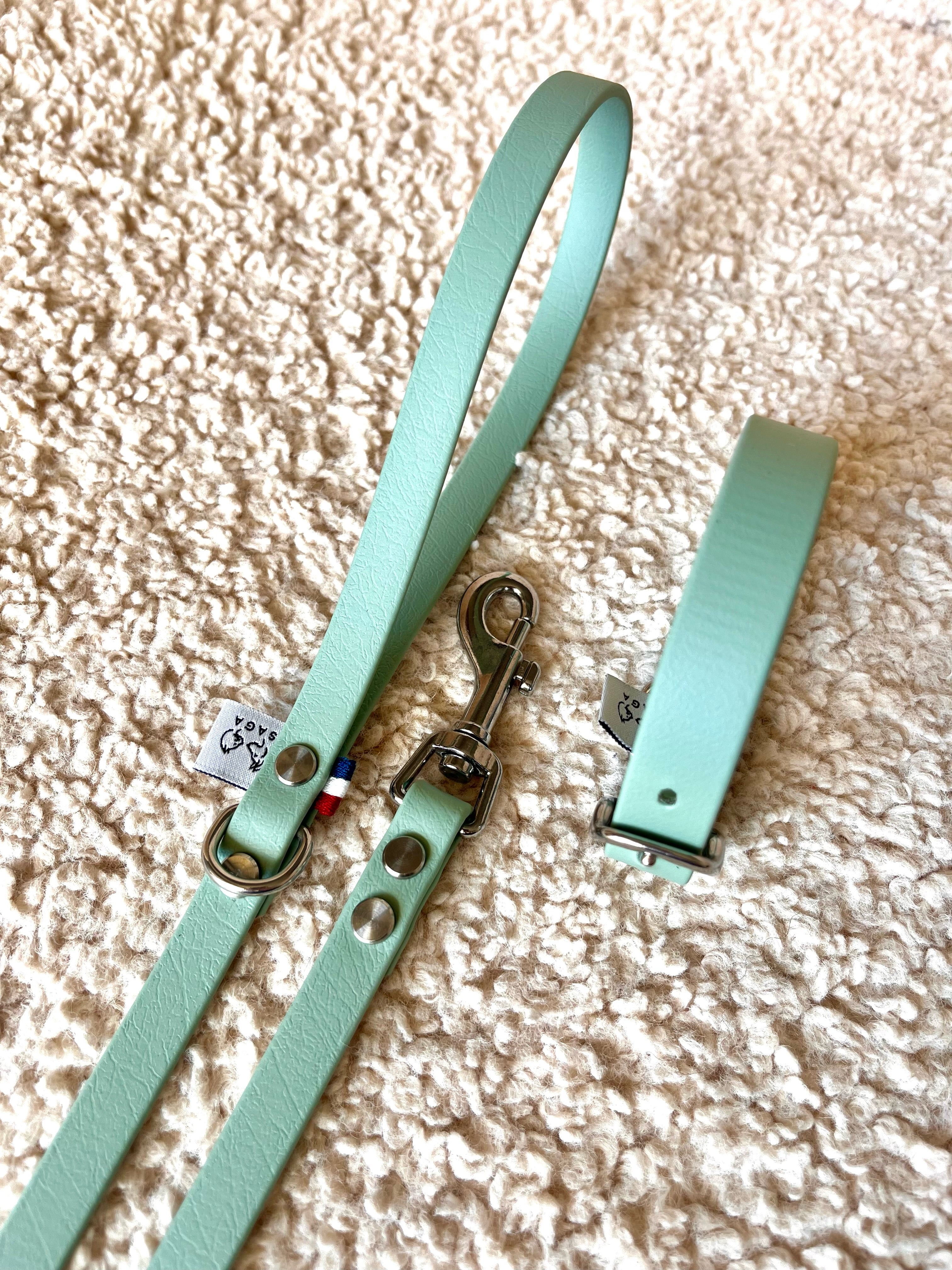 Kit Chiot Inox - Collier & Laisse
