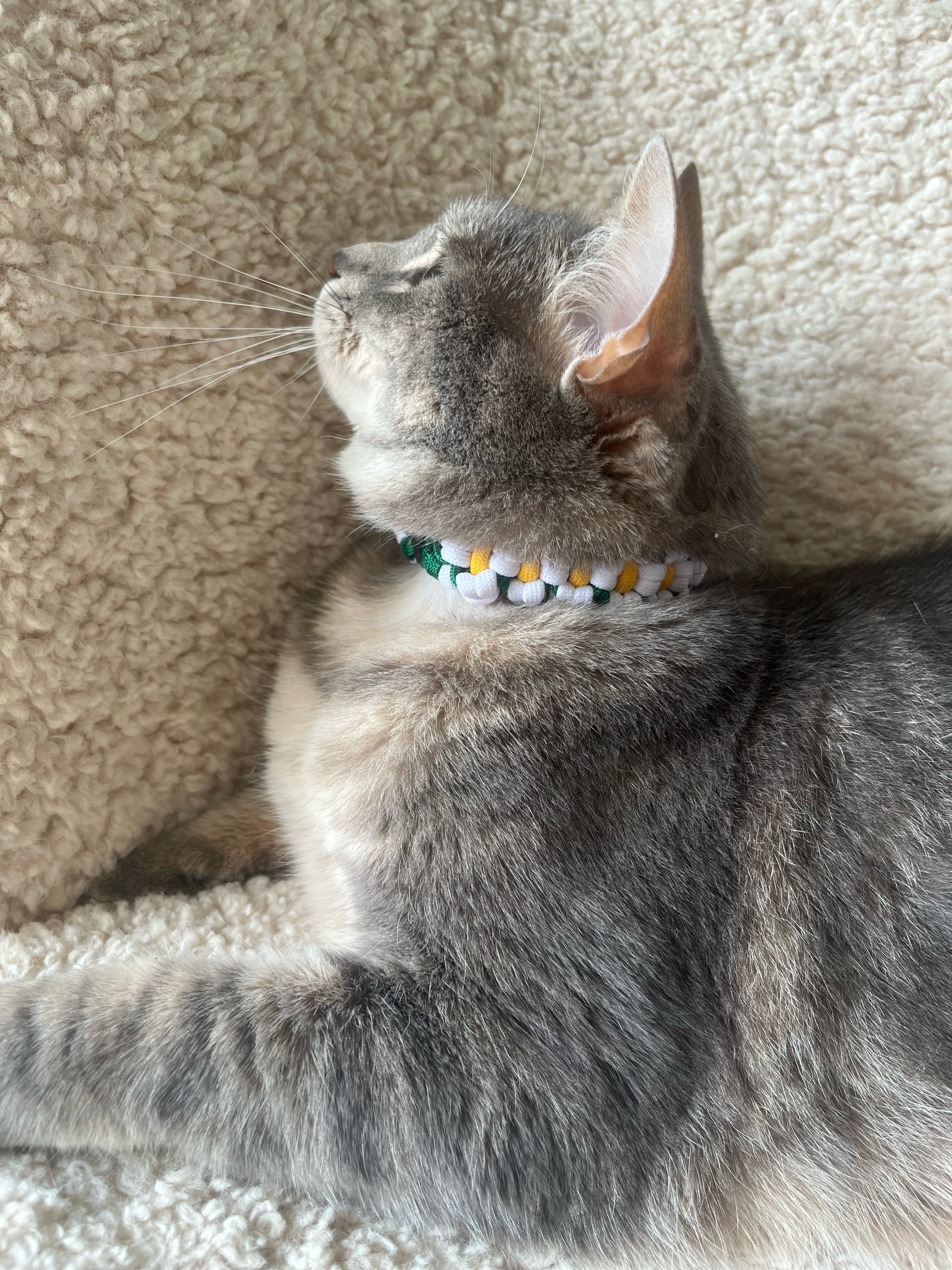 Collier Chat Fleur Marguerite