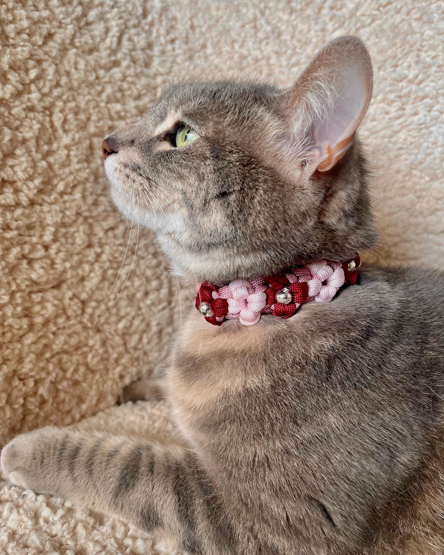 Collier Chat Fleur Pivoine